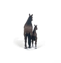 Load image into Gallery viewer, 6666 Quarter Horses
