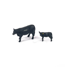Load image into Gallery viewer, 6666 Black Angus Ranch Set
